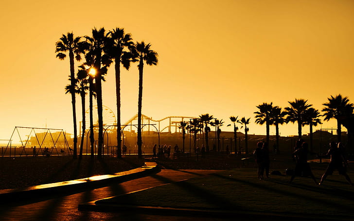 California, orang-orang, pohon-pohon palem, sinar matahari, Wallpaper HD