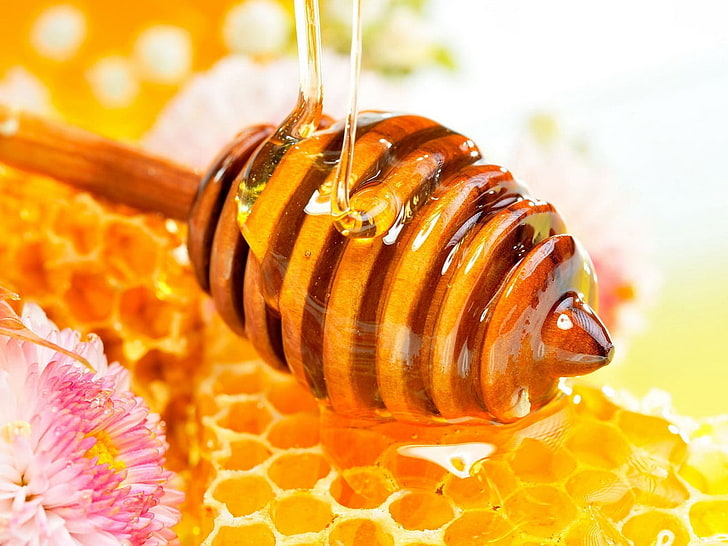 brauner hölzerner Honigschöpflöffel, Honig, süß, Bestäubung, HD-Hintergrundbild
