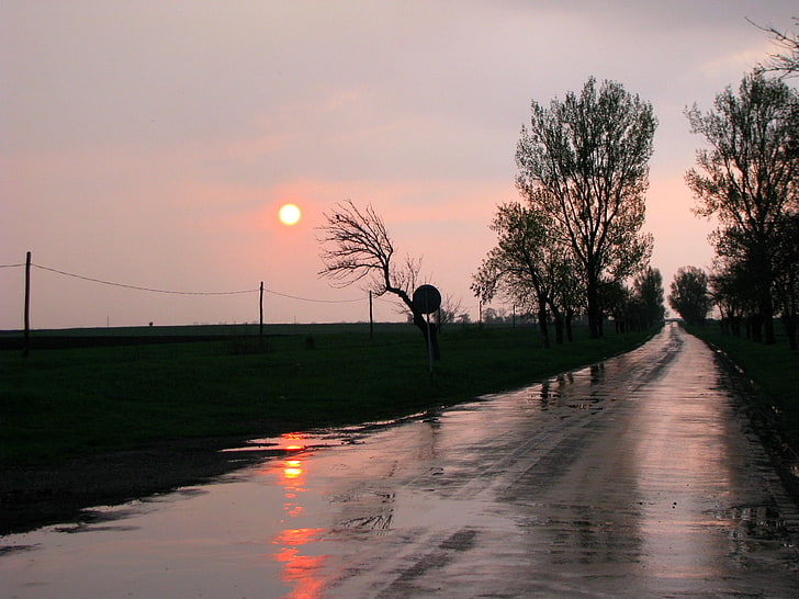 silhouette trees, Photography, Rain, Landscape, Road, Scenic, Sunrise, Sunset, HD wallpaper