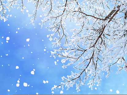 снежно покрито изсъхнало дърво, зима, небе, сняг, снежинки, клони, отблясъци, синьо, HD тапет HD wallpaper