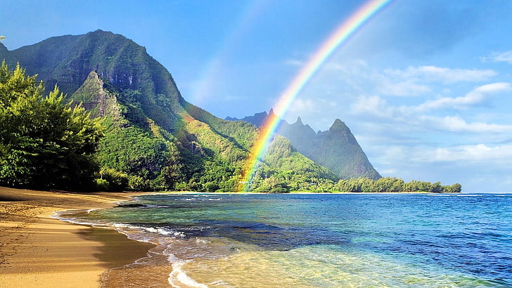 panorama, arcobaleno, acqua, albero, bleu, verde, giallo, vedi, sabbia, battigia, riva, esotico, natura, Sfondo HD