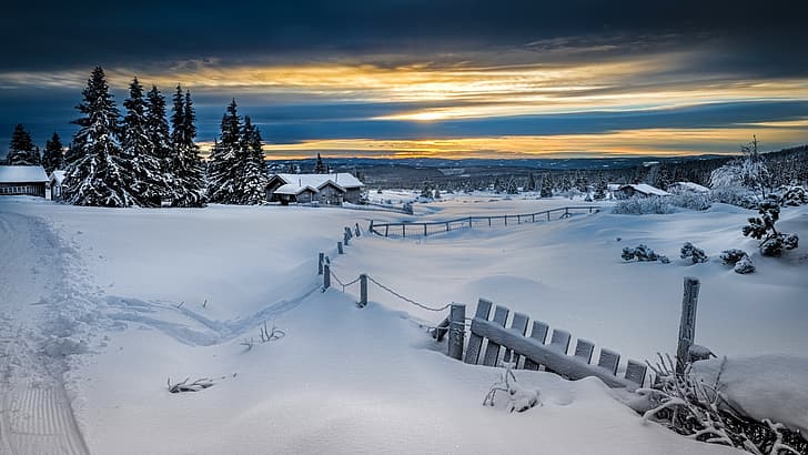 зима, лес, снег, забор, Норвегия, Лиллехаммер, HD обои