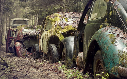 three assorted-color cars, old car, abandoned, moss, rust, car, wreck, vehicle, HD wallpaper HD wallpaper