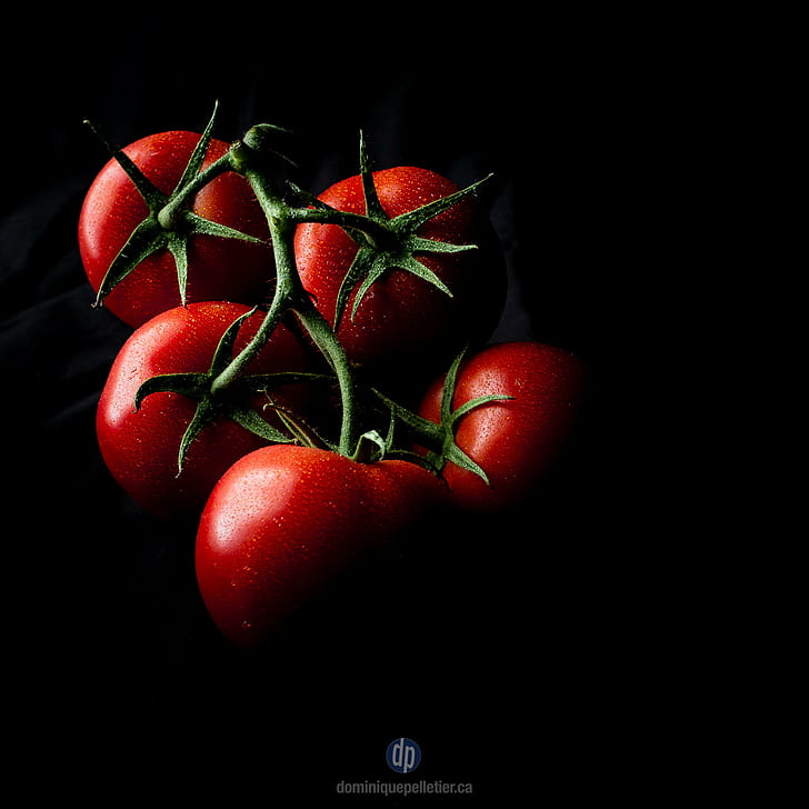 foto di cinque pomodori rossi, foto, cinque, nero, frutta, legume, noir, ombre, ombra, tomate, pomodoro, verdura, verdure, rosso verde, cibo, rosso, freschezza, maturo, organico, vegetariano, cibo, sfondo nero, Sfondo HD