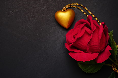  flowers, heart, rose, pendant, red, love, black background, romantic, roses, HD wallpaper HD wallpaper