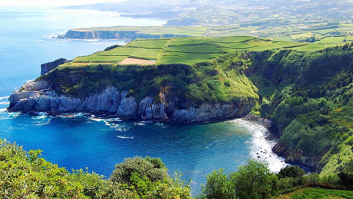 منظر طبيعي للحقل الأخضر بجانب المسطح المائي ، الماء ، البحر ، الجرف ، الحقل ، الأشجار ، الأزور، خلفية HD