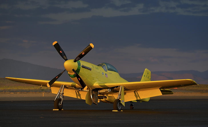 yellow, the plane, mustang, fighter, P-51, warbird, WWII, Ole Yeller, HD wallpaper