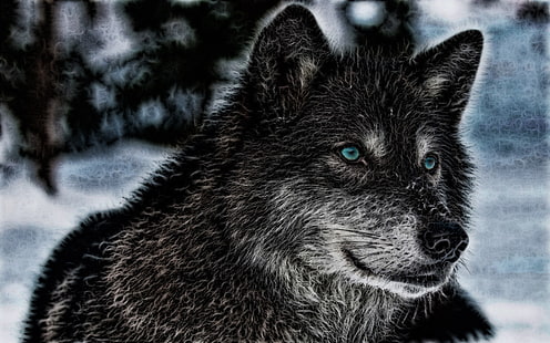 lobo preto e branco pintura, lobo, animais, animais selvagens, HD papel de parede HD wallpaper