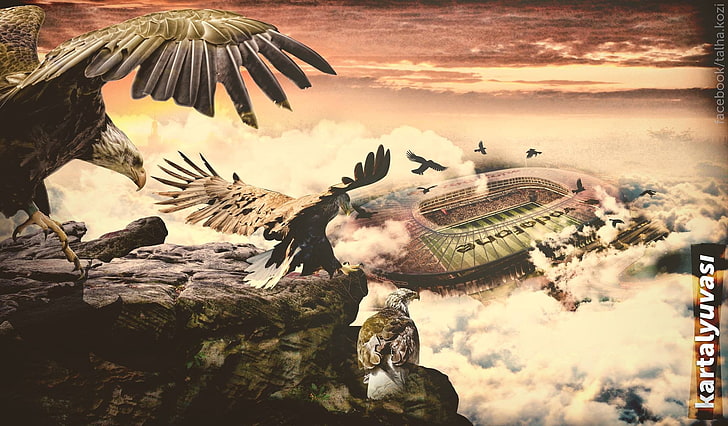 3D illustration of two eagles, Vodafone Arena, Besiktas J.K., soccer, soccer clubs, HD wallpaper