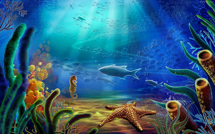 الحياة تحت سطح البحر العالم تحت الماء الأسماك المرجان نجم البحر حصان البحر HD خلفيات عريضة للهواتف الذكية 2880 × 1800، خلفية HD