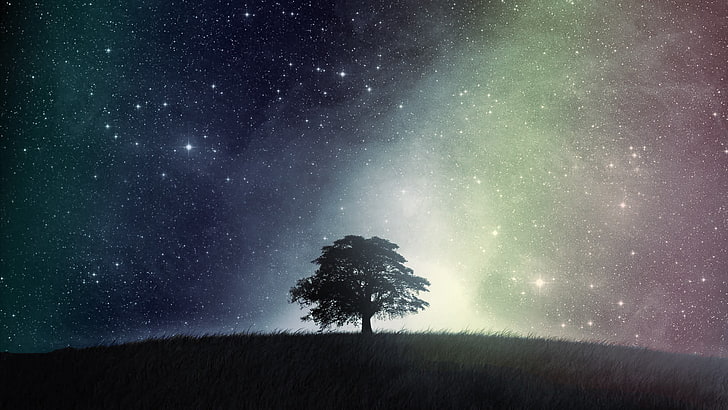 silhouette d'art arbre, arbres, seul, coloré, nature, nuit, art numérique, Fond d'écran HD