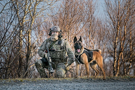 أسلحة ، كلب ، جيش ، جنود، خلفية HD HD wallpaper