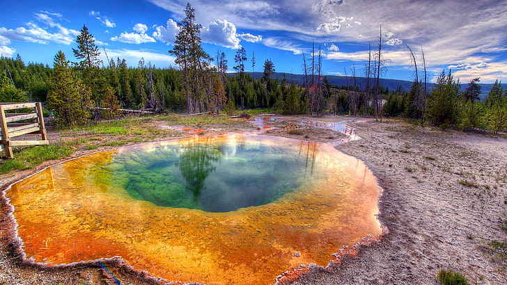 landscape, united states, wyoming, yellowstone, national park, yellowstone national park, yellowstone upper geyser basin, pond, mineral spring, cloud, nature, tree, hot spring, glory pool, sky, morning glory pool, wilderness, reflection, water, HD wallpaper