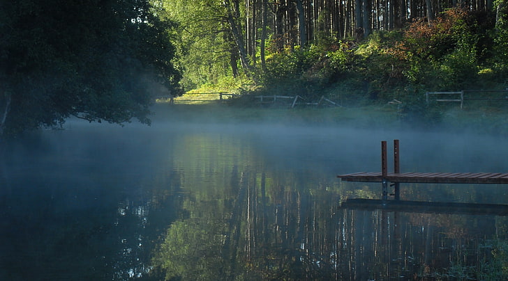 Las I Rzeka, quai de bateau en bois brun, Nature, Rivières, Fond d'écran HD