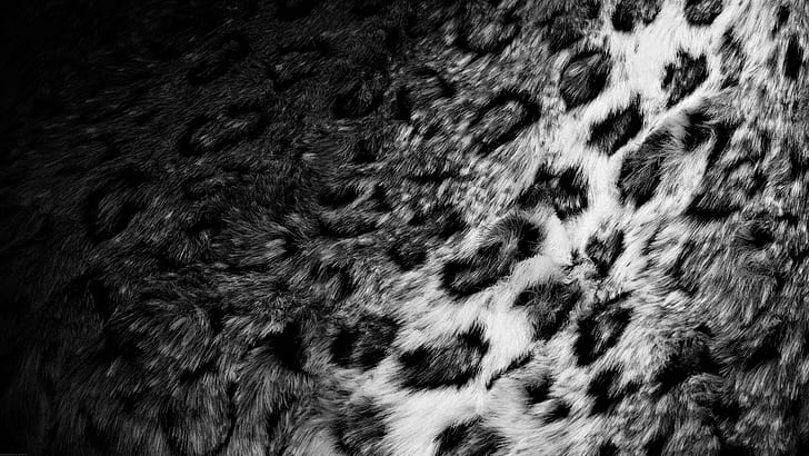 Piel de leopardo, foto en escala de grises de piel de leopardo, fotografía, 1920x1080, leopardo, Fondo de pantalla HD