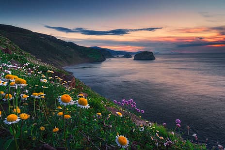 puesta de sol, flores, océano, costa, España, Golfo de Vizcaya, Golfo de Vizcaya, Bizkaia, Vizcaya, País Vasco, Fondo de pantalla HD HD wallpaper