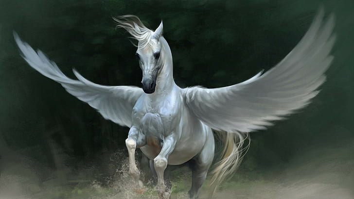 Pegasus, kuda, sayap, binatang, Wallpaper HD