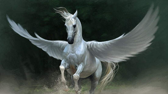 Pegasus, cavalo, asas, animais, HD papel de parede HD wallpaper
