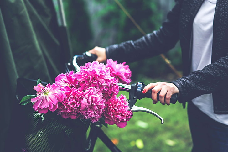 Basket, beautiful, beauty, bicycle, bike, blooming, bouquet, color, flora,  HD wallpaper | Wallpaperbetter