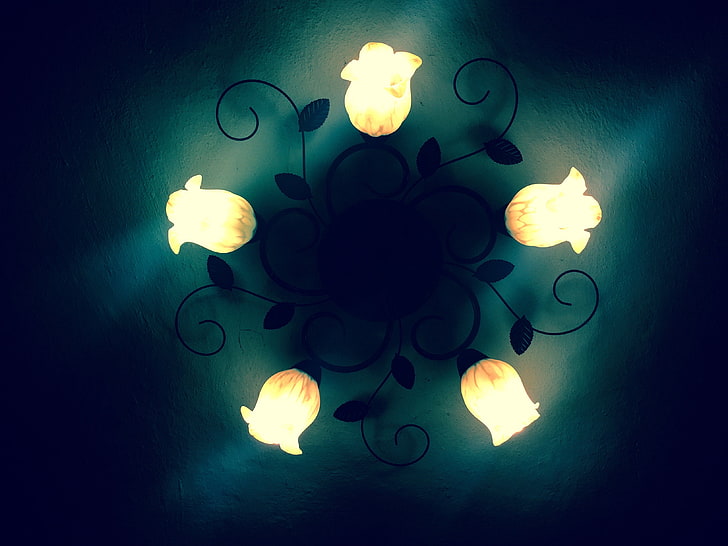 black and white uplight chandelier, wall, rose, lamp, artificial lights, HD wallpaper