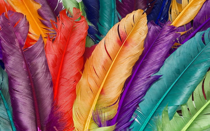 Многоцветные перья, цветные перья, абстрактные, оранжевые, фиолетовые, зеленые, многоцветные, перья, 3d и абстрактные, HD обои