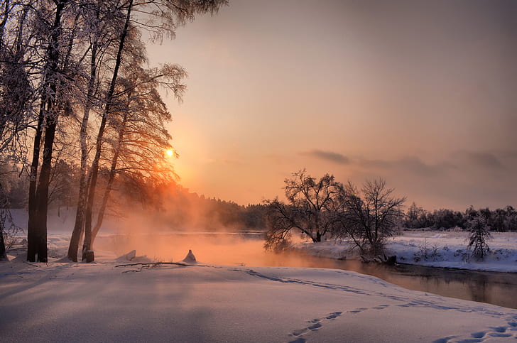 winter, forest, the sky, the sun, snow, trees, landscape, sunset, fog, river, silence, the evening, December, Malakhovka, HD wallpaper