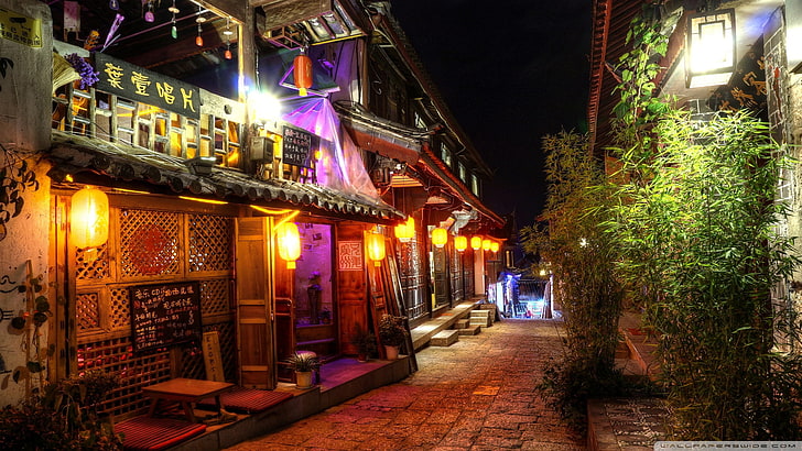 Grünpflanze, Japaner beschriftete Ladenfront während der Nachtzeit, China, HDR, bunt, Straße, orientalische, asiatische Architektur, Laterne, Nacht, HD-Hintergrundbild