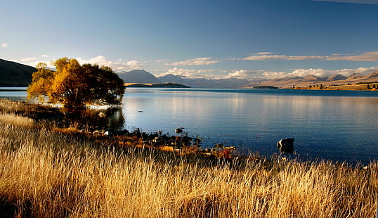 ชายทะเลภายใต้สีน้ำเงินขี้อาย, ทะเลสาบ Tekapo, ทะเลสาบ Tekapo, ตอนเย็น, ทะเลสาบ Tekapo, นิวซีแลนด์, ชายทะเล, Sony DSLR-A580, เกาะใต้ของนิวซีแลนด์, Island Lake, ฤดูใบไม้ร่วง, ภูมิประเทศ, Public Domain, การอุทิศ, CC0, ติดแท็กทางภูมิศาสตร์, ภาพถ่าย, ทะเลสาป , ภูเขา, ธรรมชาติ, เข้ามาเยี่ยม, น้ำ, กลางแจ้ง, ท้องฟ้า, วอลล์เปเปอร์ HD HD wallpaper