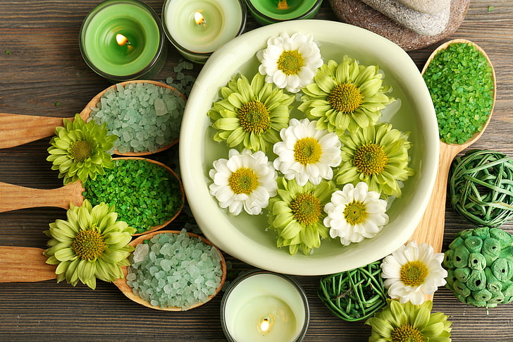 green and white daisy flowers and assorted granules, flowers, candles, relax, Spa, still life, salt, wellness, HD wallpaper