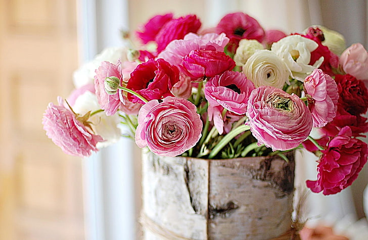 ピンクと白のラナンキュラスのフラワーアレンジメント、ラナンキュラス、花、花束、ニレ、 HDデスクトップの壁紙