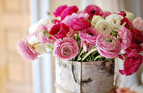розово-белый лютик цветочная композиция, ранункулюс, цветы, букет, вяз, HD обои HD wallpaper
