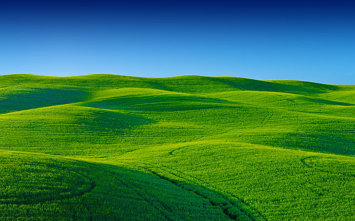 Landscape, Greenery, Scenery, Blue sky, Stock, HD, HD wallpaper