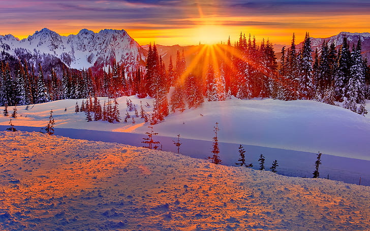 Washington, AS, musim dingin, gunung, pohon, salju, matahari terbenam, Washington, AS, Musim dingin, Pegunungan, Pohon, Salju, Matahari Terbenam, Wallpaper HD