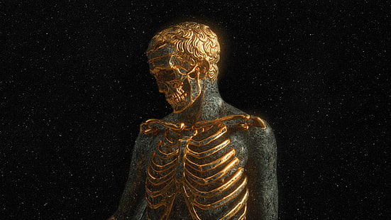 الظلام ، الجمجمة ، الأسنان ، العظام ، الهيكل العظمي ، الذهب ، المطلي بالذهب ، الإنسان، خلفية HD HD wallpaper