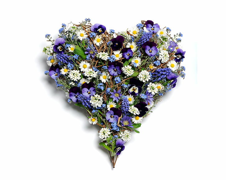 Рукотворный, цветок, ромашка, в форме сердца, анютины глазки, фиолетовый цветок, белый цветок, HD обои