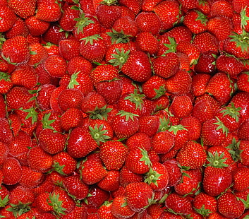 Erdbeerpartie, Beeren, Erdbeere, rot, frisch, reif, HD-Hintergrundbild HD wallpaper