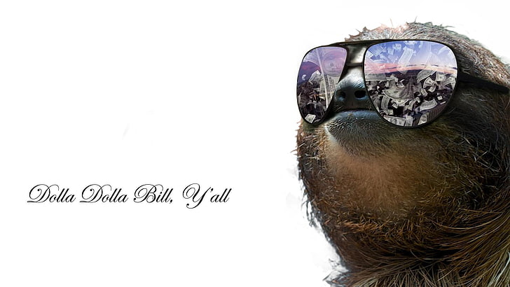 purple aviator sunglasses with frames and text overlay, sloths, quote, glasses, digital art, typography, sunglasses, HD wallpaper