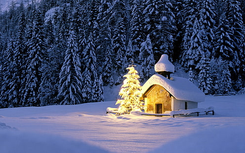 cabaña cubierta de nieve, invierno, bosque, luz, nieve, luces, comió, navidad, iglesia, año nuevo, casa, árbol, guirnalda, Fondo de pantalla HD HD wallpaper