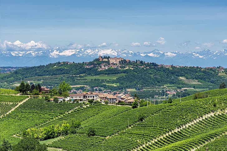 Италия, виноградники, Пьемонт, HD обои