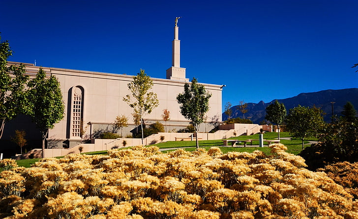 Tempio di Albuquerque nel New Mexico, ottobre, fiore giallo con petali, Stati Uniti, New Mexico, ottobre, tempio, Albuquerque, Sfondo HD