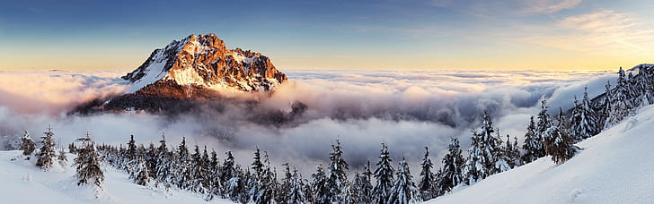 пейзаж горный туман сосны зима словакия многократный дисплей, HD обои