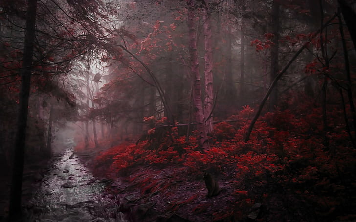 árboles rojos gatos negros río cuervo, Fondo de pantalla HD