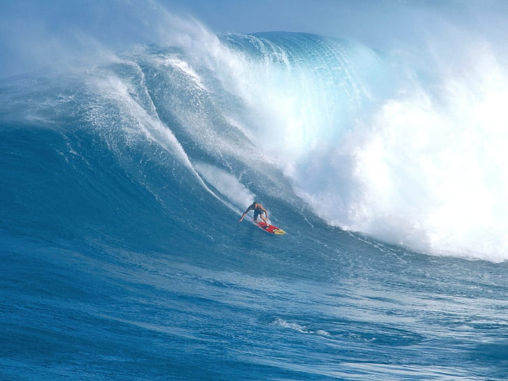 surfing, guy, board, wave, hawaii, HD wallpaper