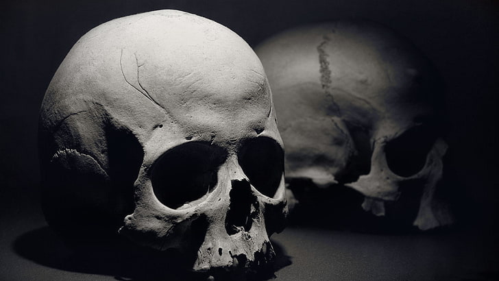 skull, bones, HD wallpaper
