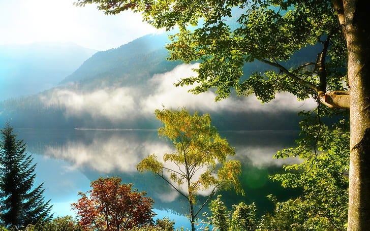 Nature scenery, mountains, forest, trees, lake, mist, morning, reflection, Nature, Scenery, Mountains, Forest, Trees, Lake, Mist, Morning, Reflection, HD wallpaper