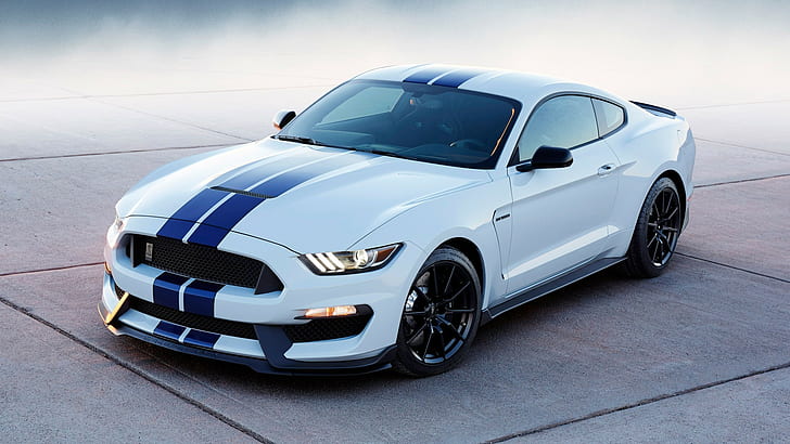 mobil ford mustang shelby shelby gt 350, Wallpaper HD