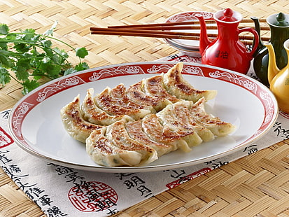 fried dumplings, chinese cuisine, pelmeni, hot, plate, sticks, HD wallpaper HD wallpaper