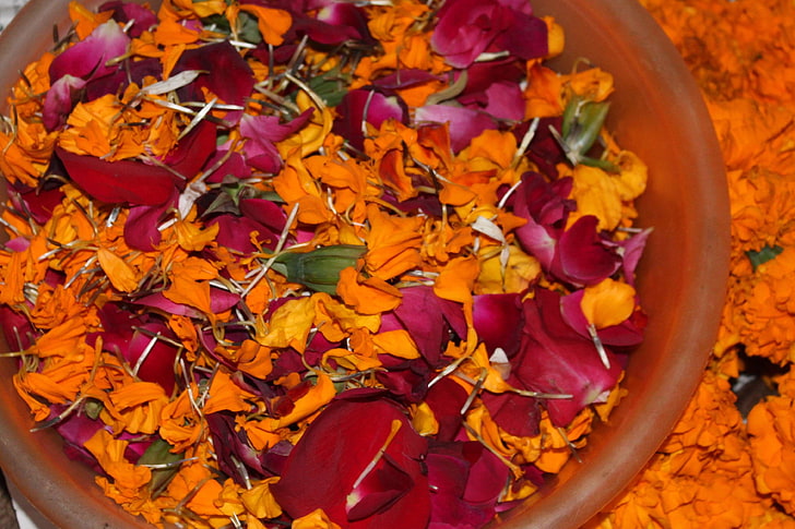 genda flower, hindu worship, hinduism, prayer, religious, rose petals, HD wallpaper
