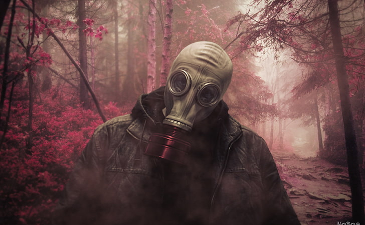 Fresh Air, gray gas mask and black leather jacket, Army, Pink, Photoshop, Forest, Smoke, Fresh, Mask, gas mask, Mood, atmosphere, Processing, HD wallpaper