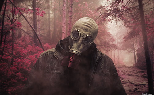 Fresh Air, gray gas mask and black leather jacket, Army, Pink, Photoshop, Forest, Smoke, Fresh, Mask, gas mask, Mood, atmosphere, Processing, HD wallpaper HD wallpaper